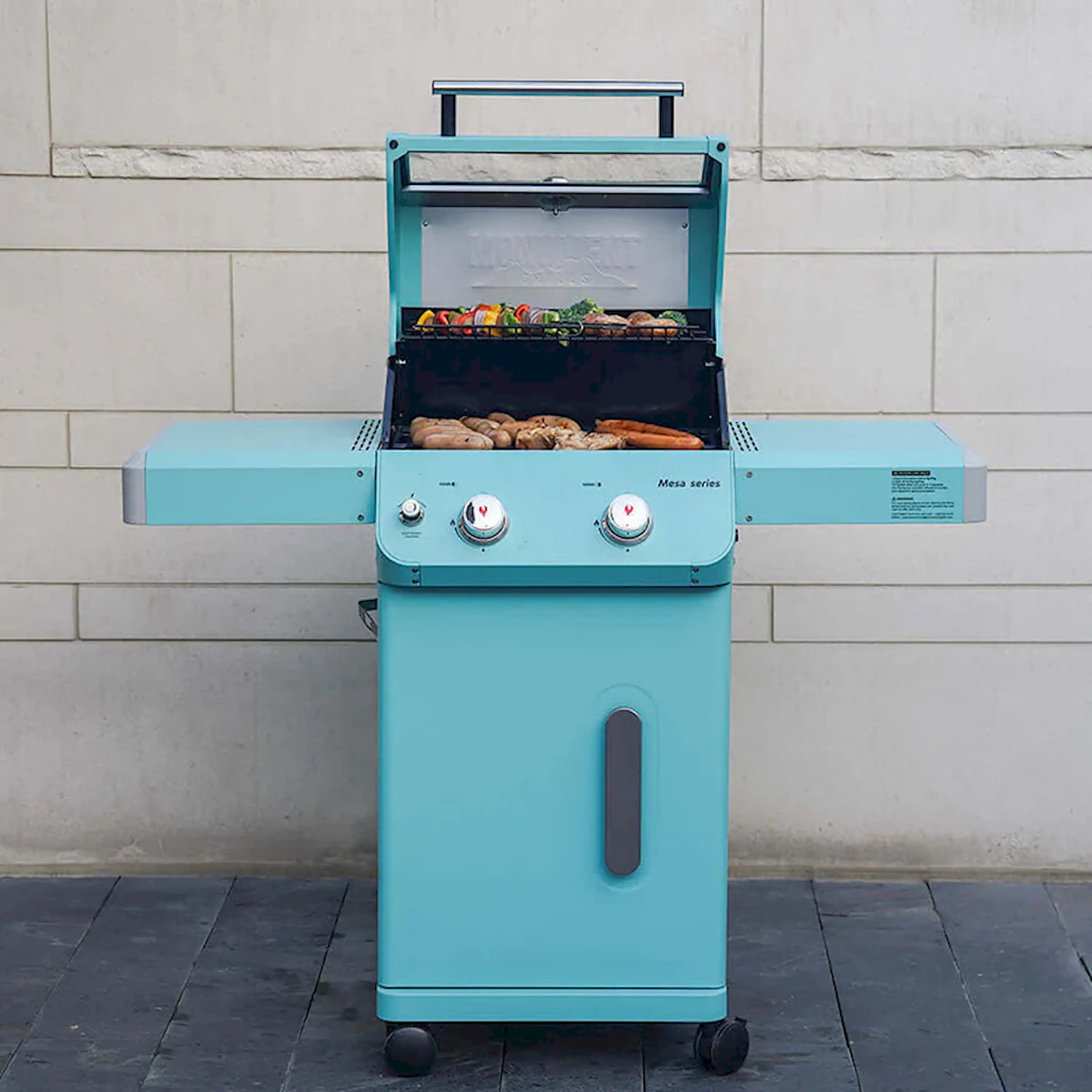 Green powder-coated 2-burner propane grill with open lid and grilling grate contents