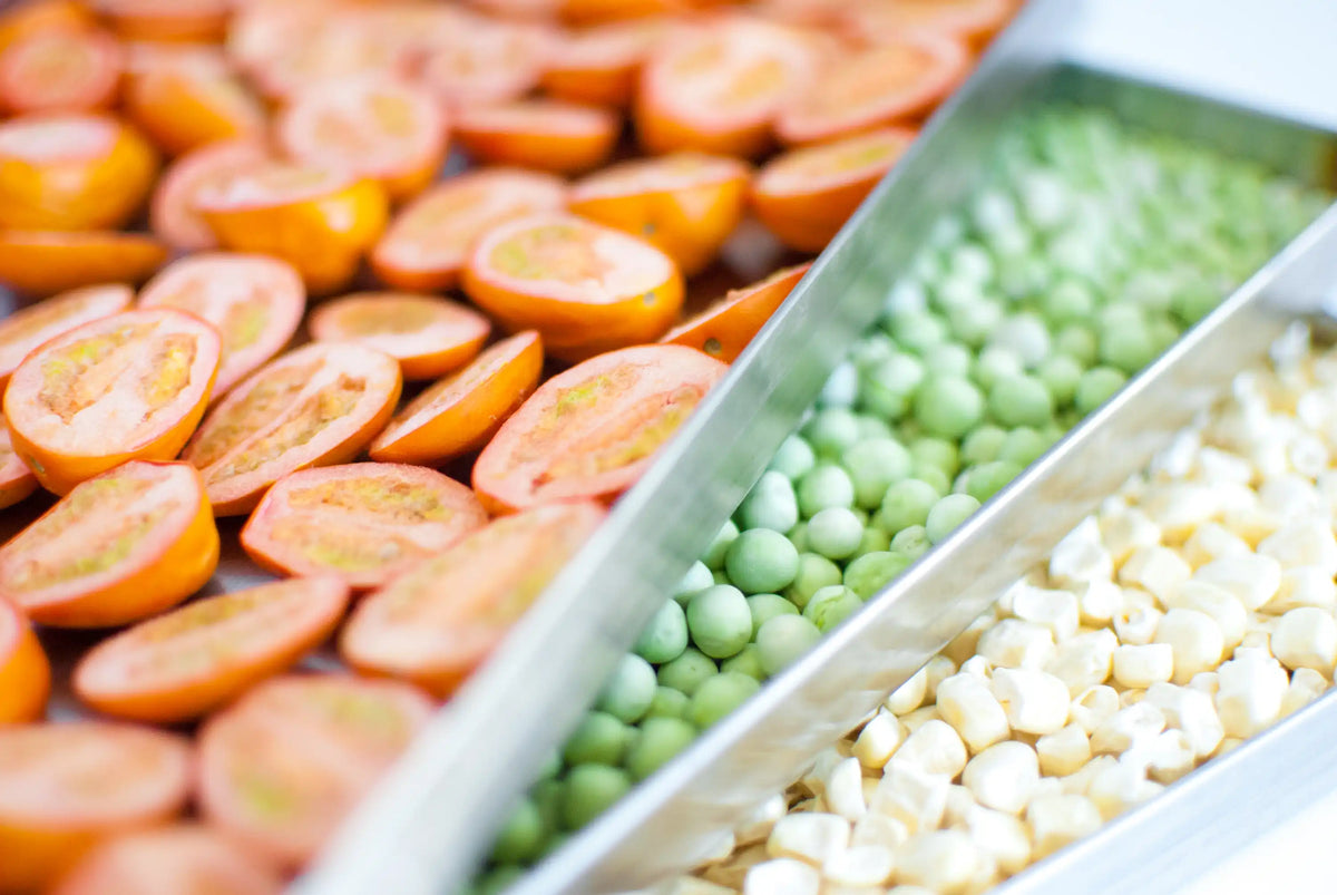 Harvest Right freeze dryer trays with sliced fruit, green peas, and white food pieces