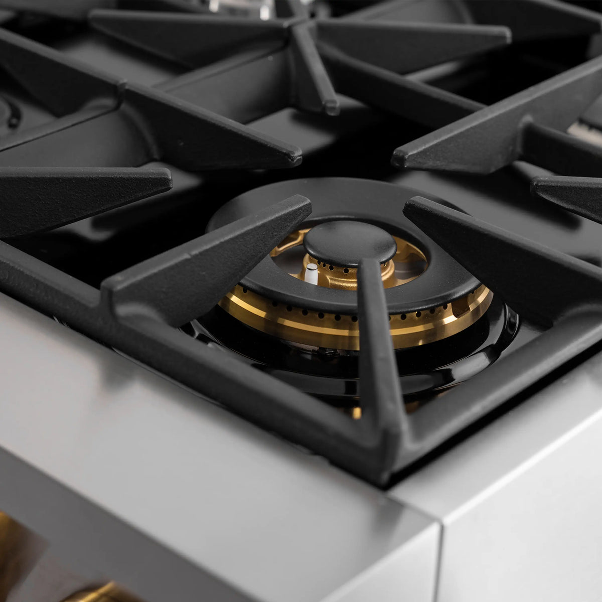 Stainless steel propane gas range burner with gold-ring cap and black grate