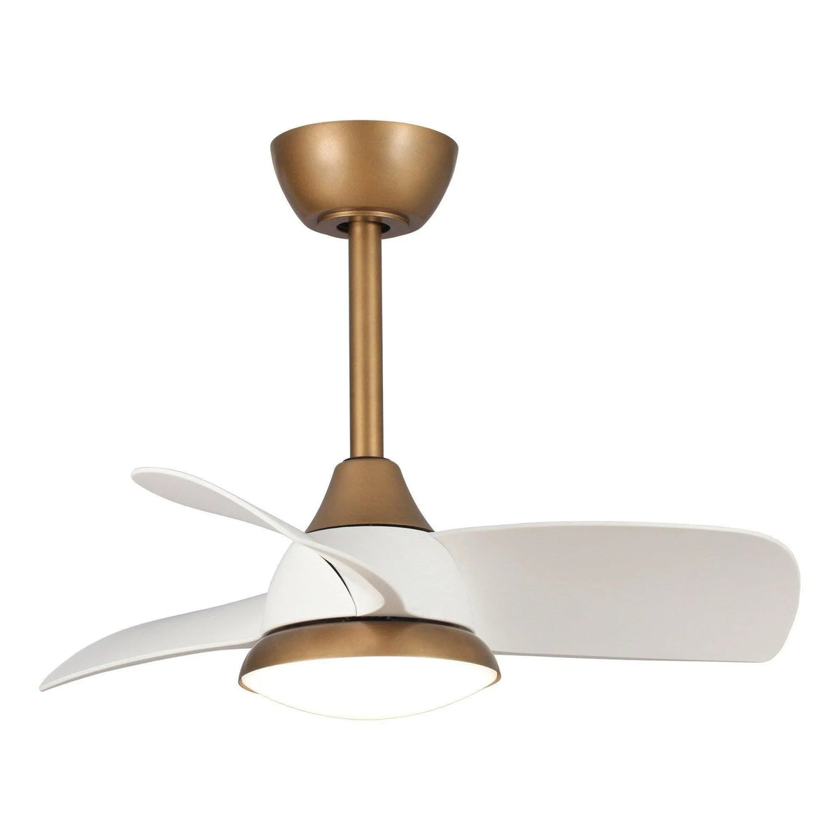 28-inch modern ceiling fan with downrod mount, gold housing and white reversible blades