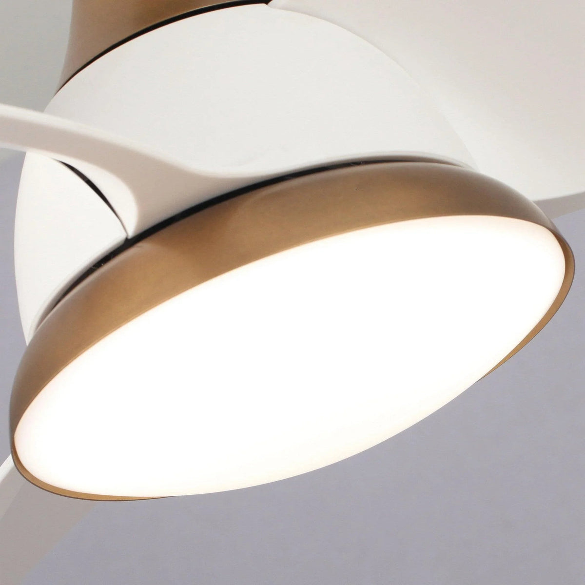 Modern ceiling fan LED light housing with gold trim and white reversible blades