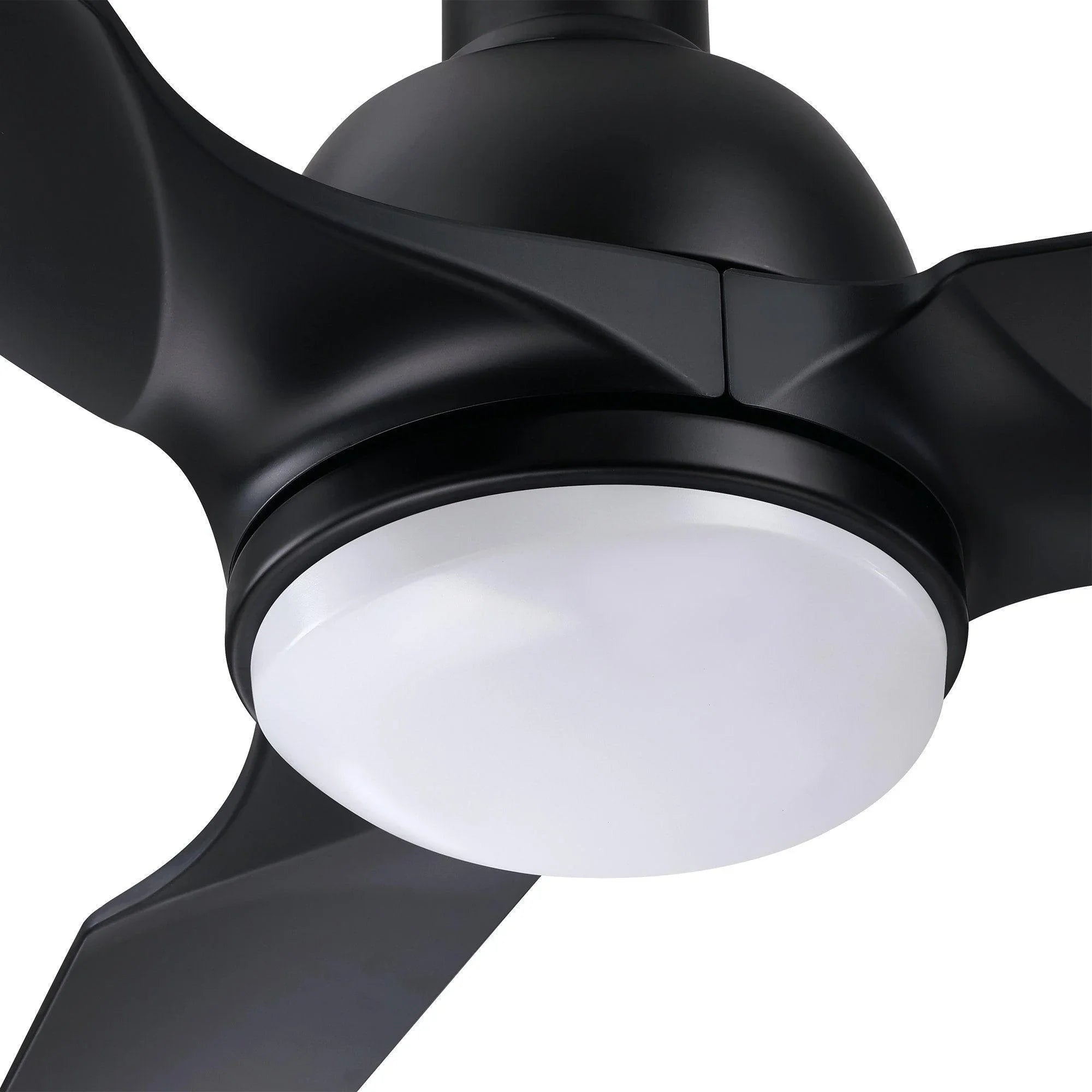 Close-up of black ceiling fan light globe beneath blade arms