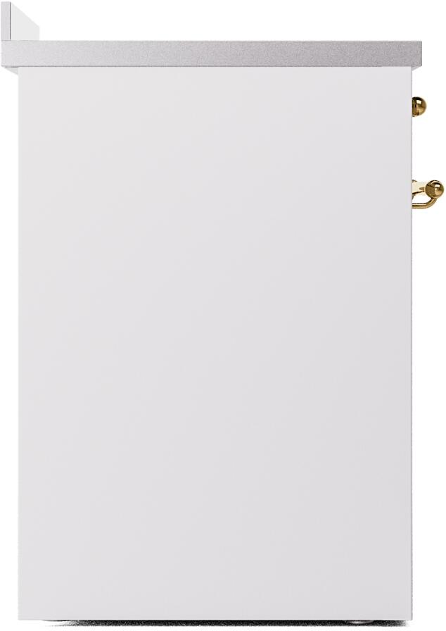 White side panel of a freestanding electric induction range with a small brass trim detail.