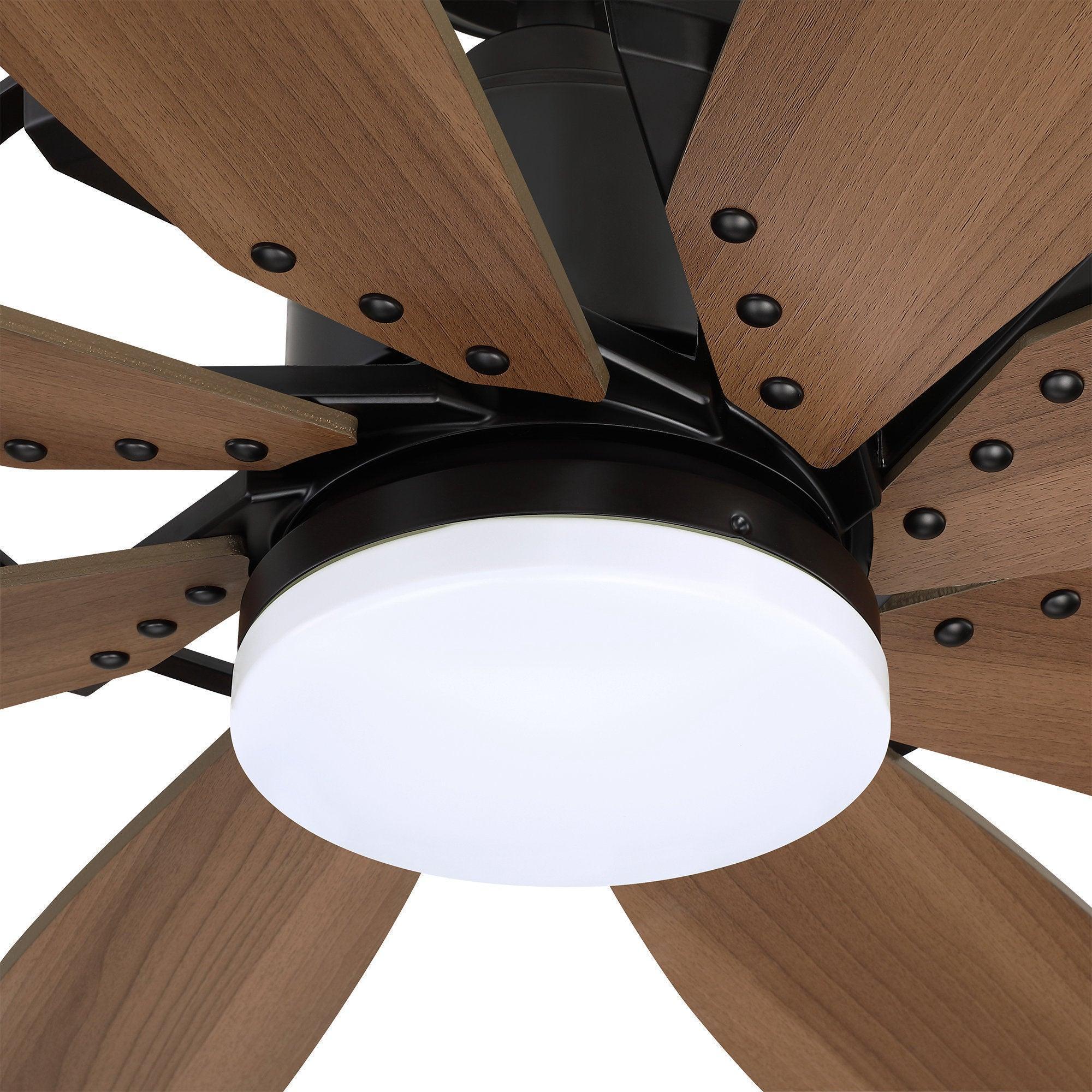 Close-up of ceiling fan light globe and wood blades attached to black motor assembly.