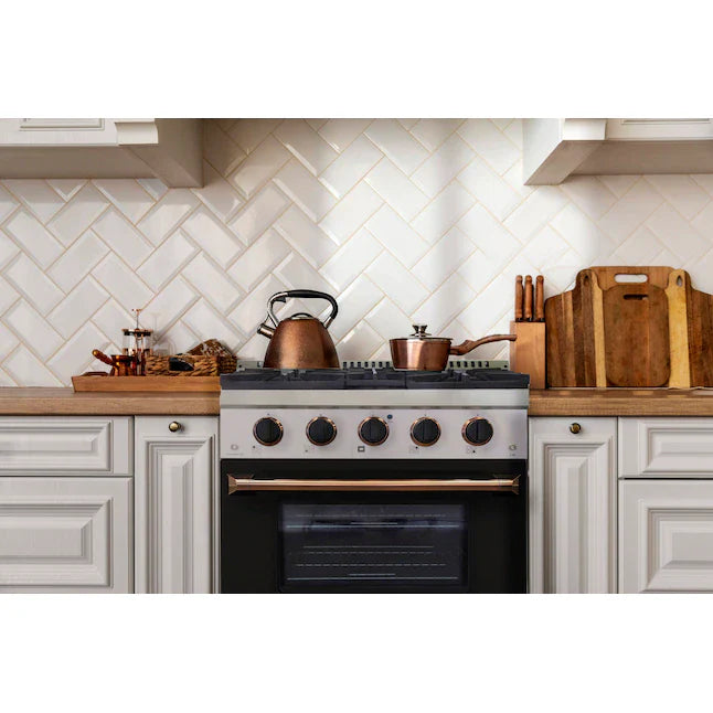 Stainless steel dual fuel range with white oven door, front control knobs, and cooktop burners
