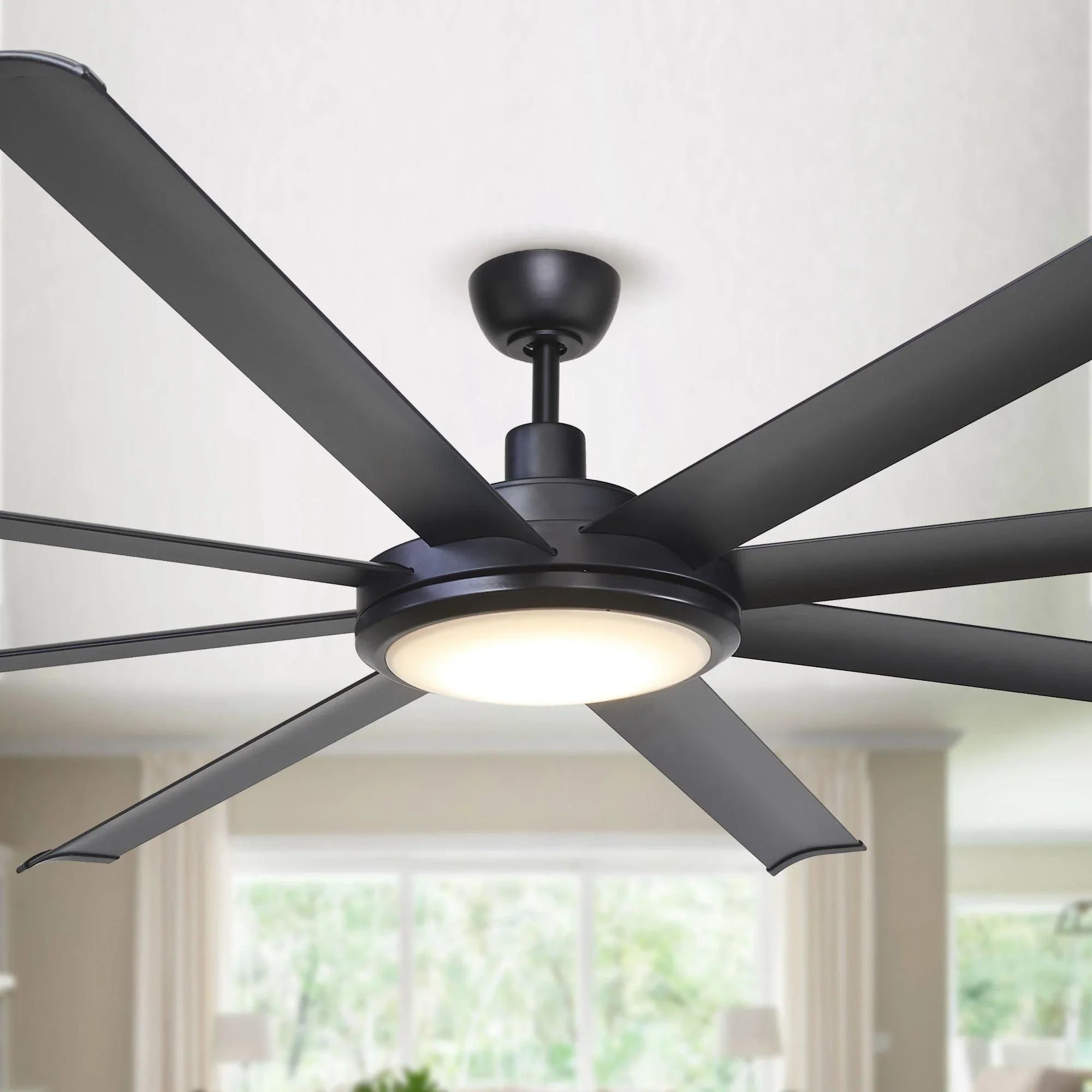Black ceiling fan canopy with integrated frosted light and five blades