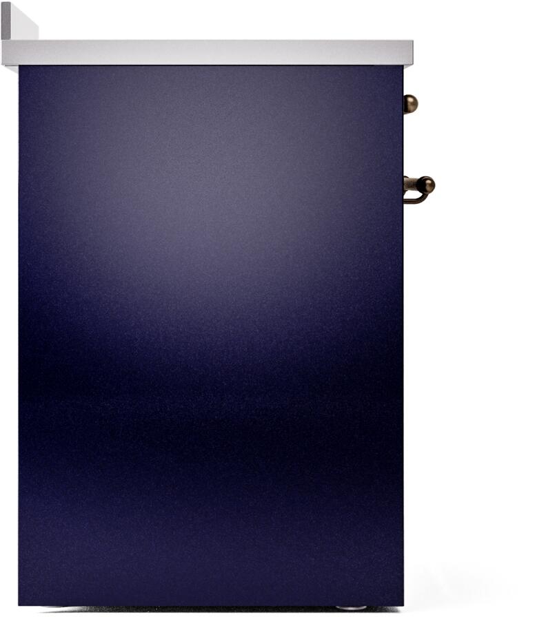 Midnight blue side panel of freestanding induction range with bronze hinges