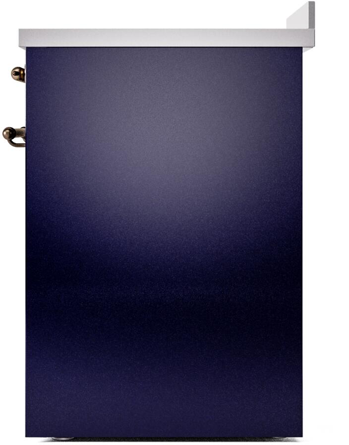 Midnight blue back/side of freestanding induction range with two bronze hinge mounts