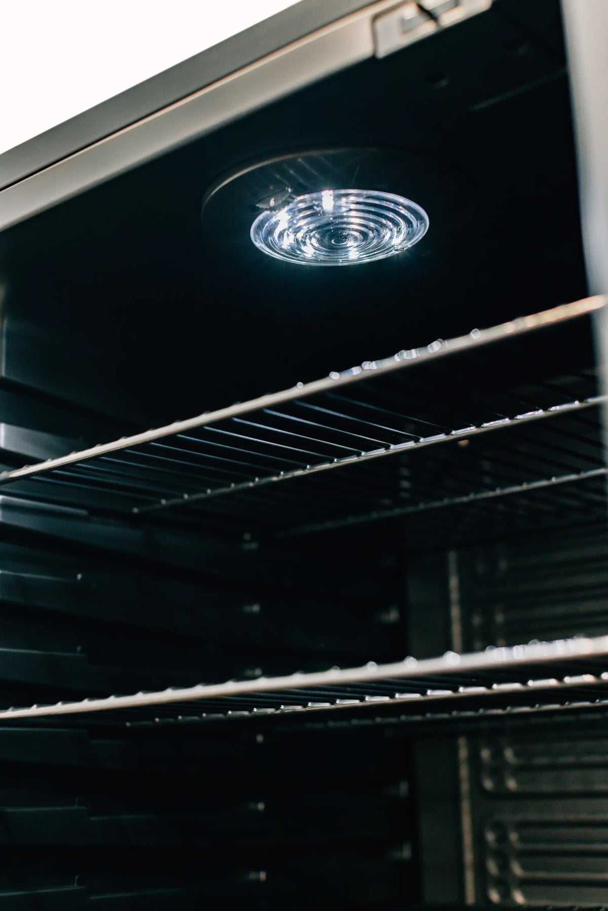 TrueFlame outdoor refrigerator ceiling light above wire shelves