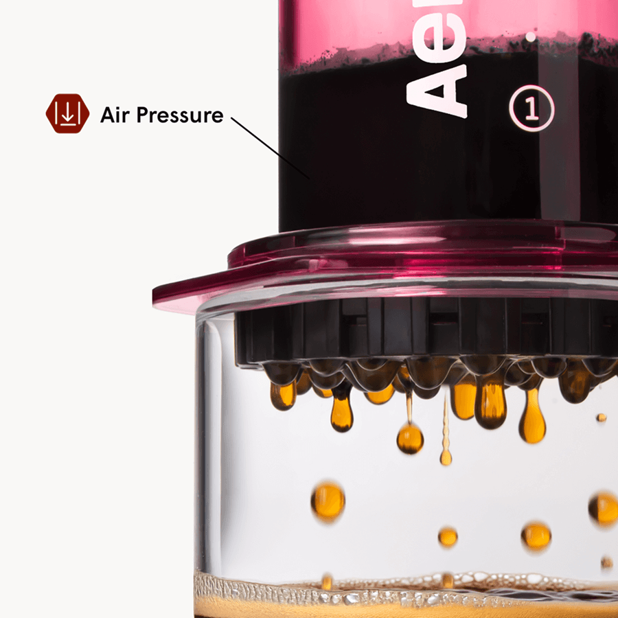 AeroPress Coffee Maker & Stainless Steel Filter Traveler's Bundle, 3-in-1 Brewing, Clear & Colors