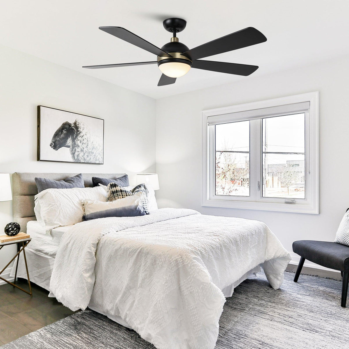 Black 5-blade ceiling fan with frosted LED light globe centered overhead