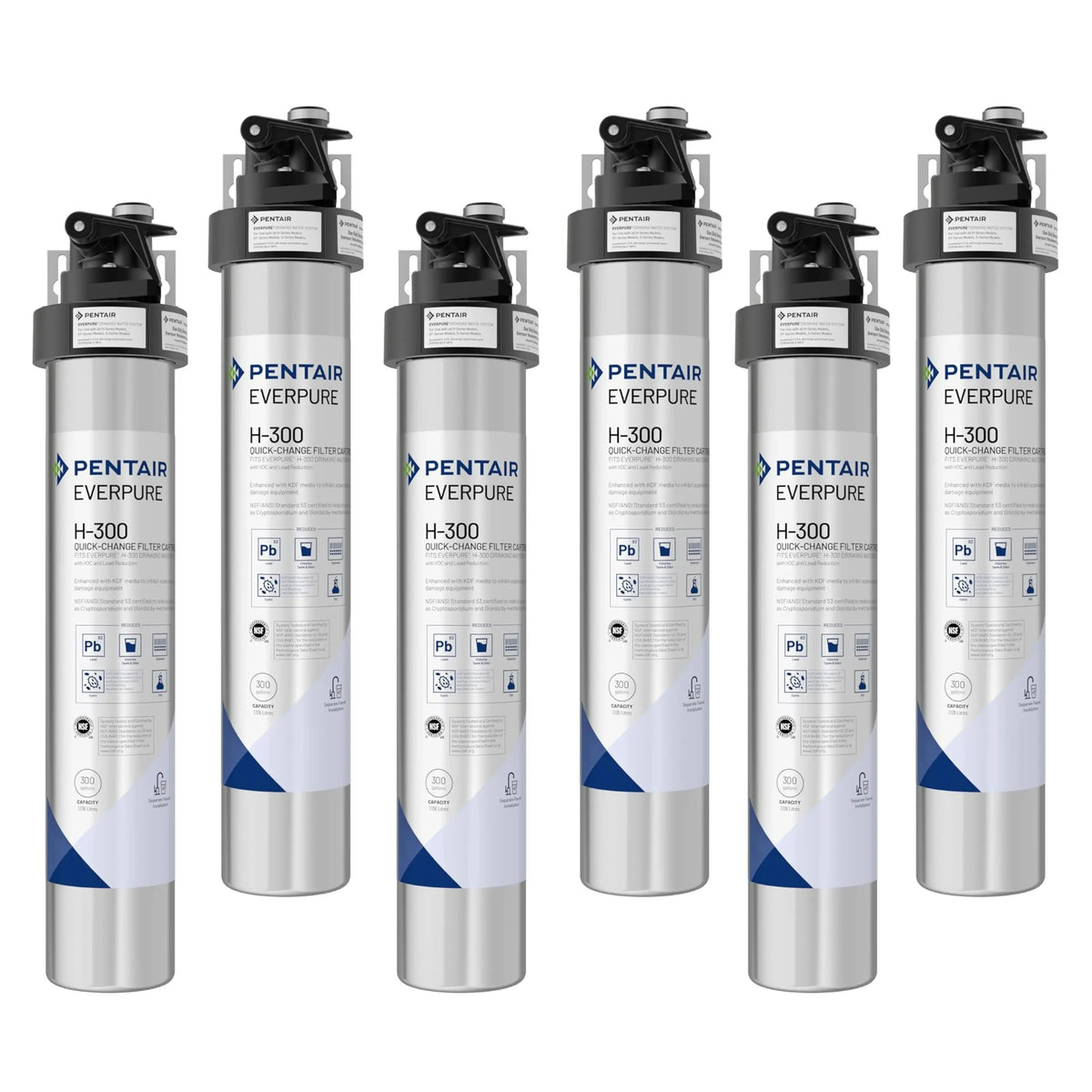 Set of Everpure H-300 filter cartridges with black top and gray label