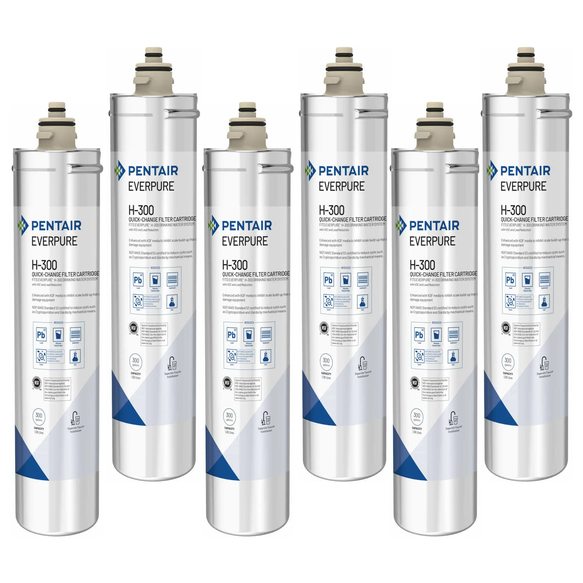 Everpure H-300 replacement cartridge 6-pack, white canisters with blue stripe