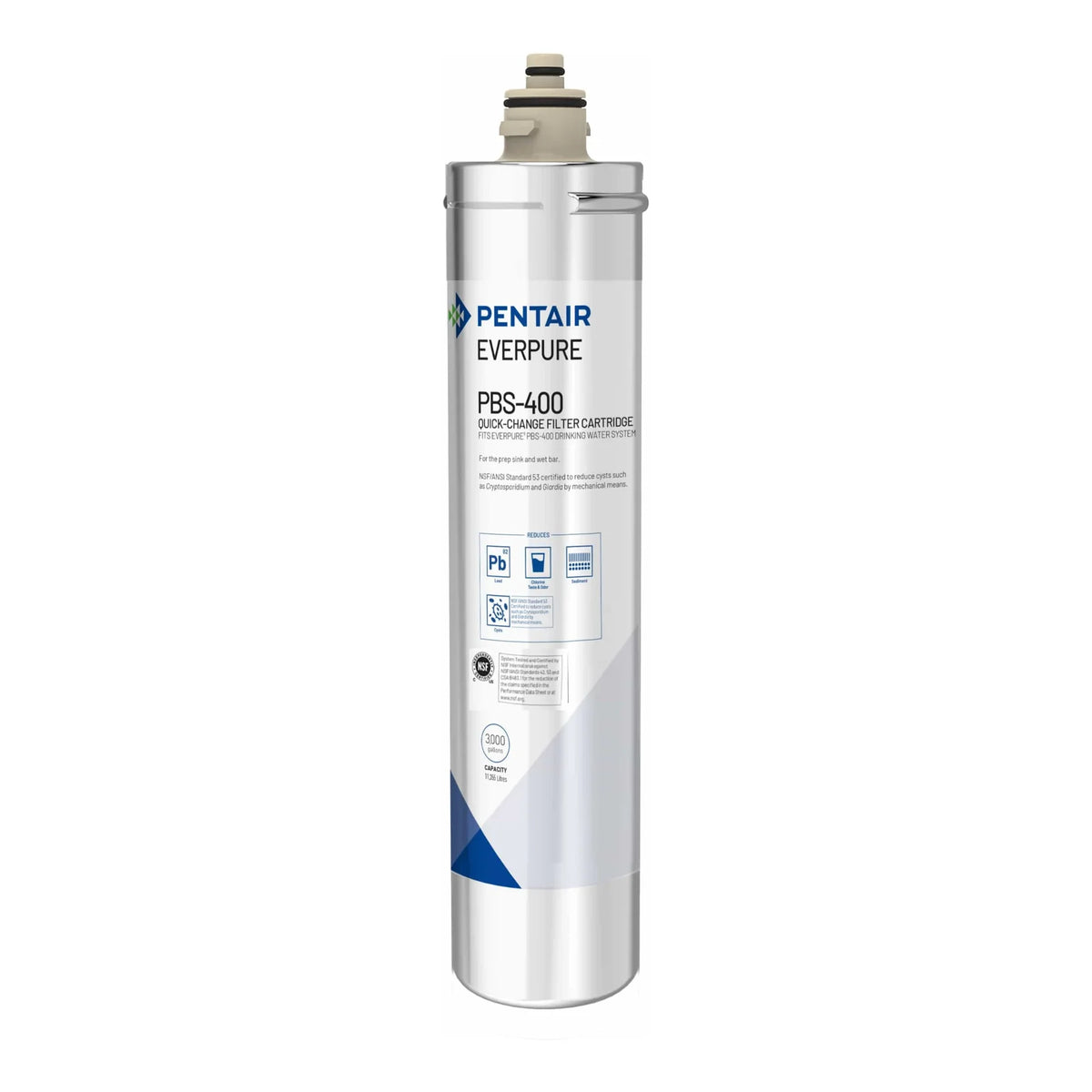 Everpure PBS-400 replacement water filter cartridge, single stainless canister with cap