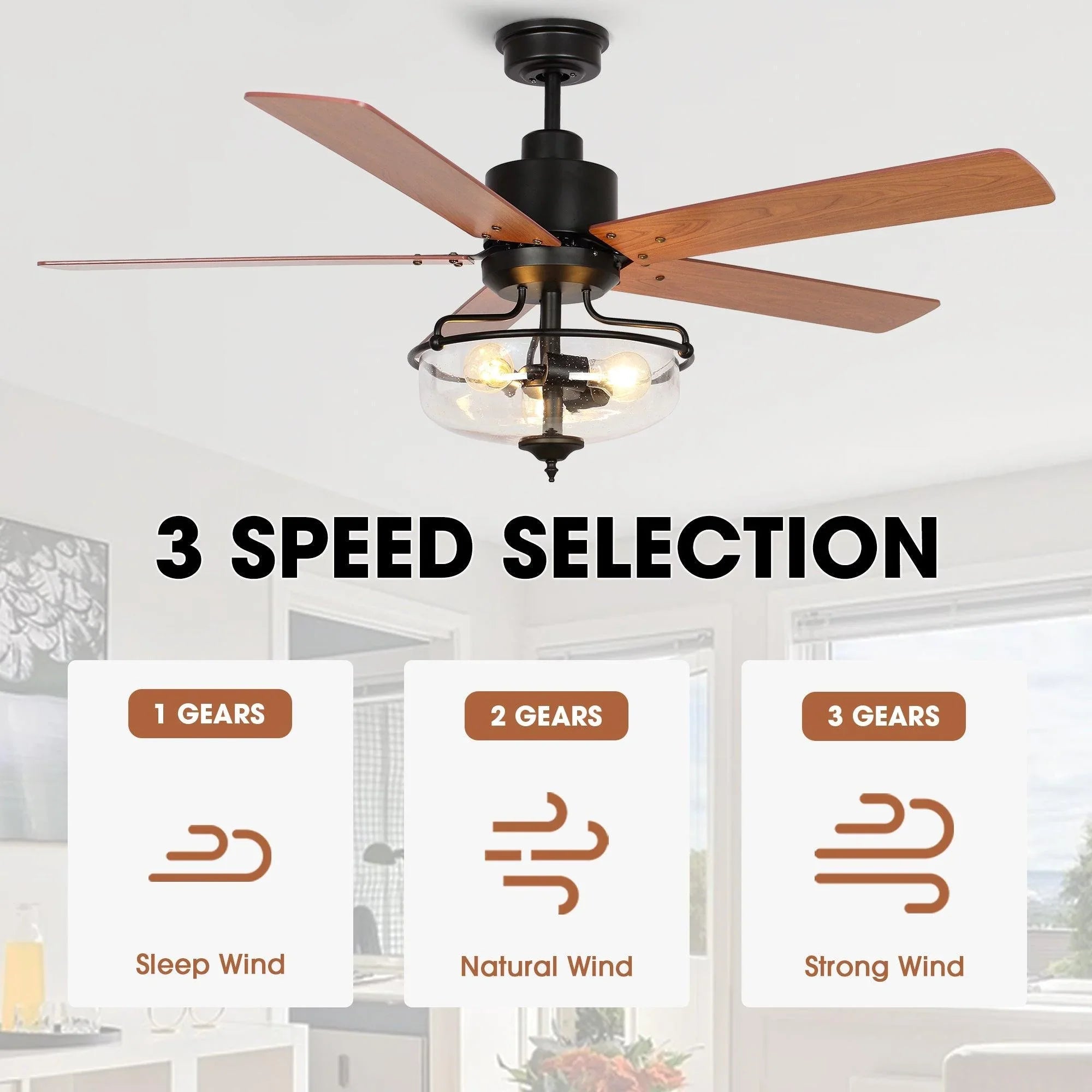 Black ceiling fan with reversible wood-tone blades and frosted glass light globe