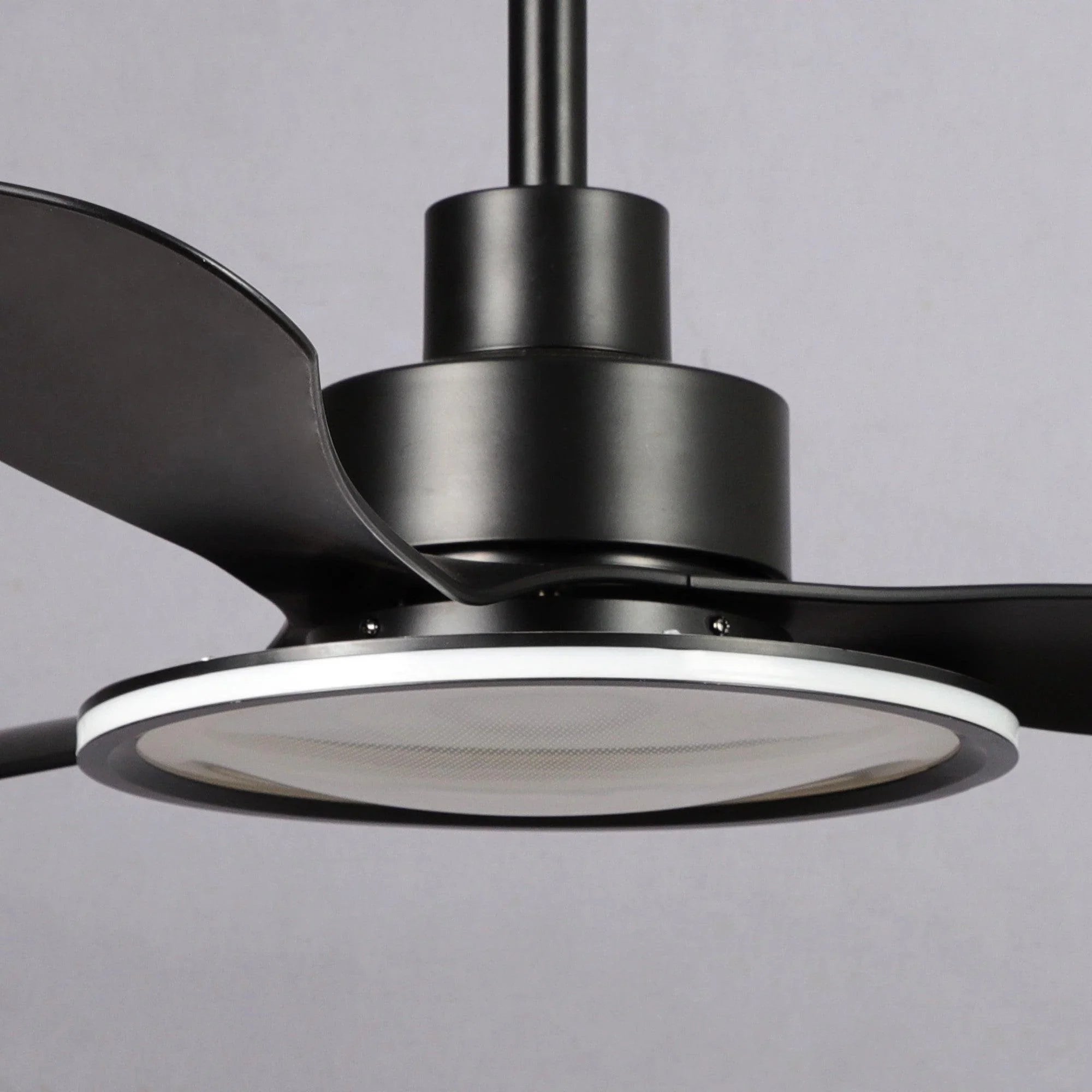 Black ceiling fan motor housing with round light diffuser and blade mount.