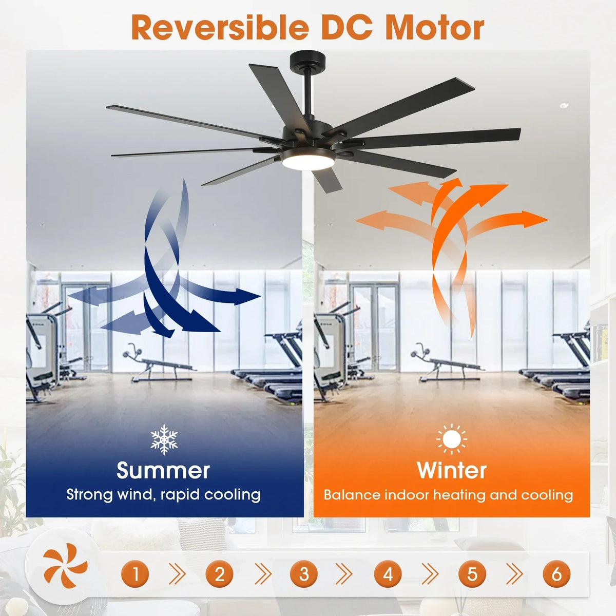 Parrot Uncle 65-Inch Teresa Modern Double-Sided Blades Ceiling Fan with Remote Control and LED Light