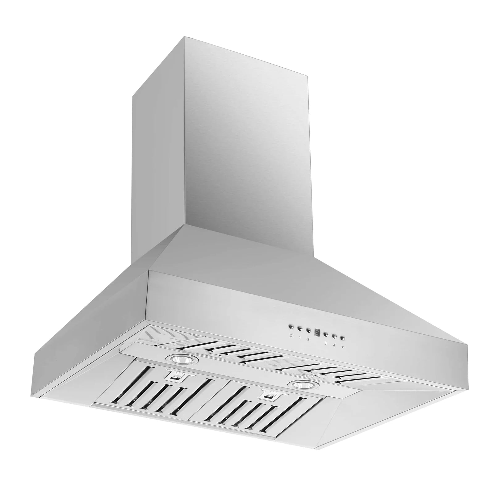 Stainless steel wall mount range hood with vent filters and chimney body