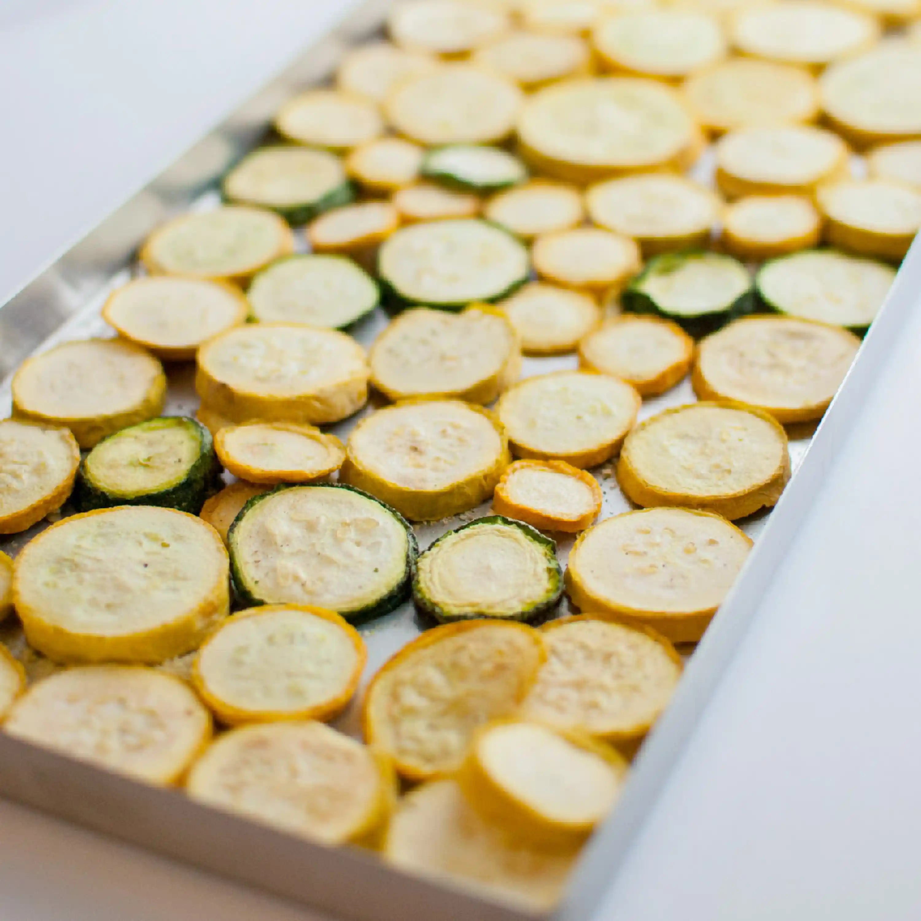 Freeze-dryer tray filled with sliced zucchini and yellow rounds, preserved pieces.