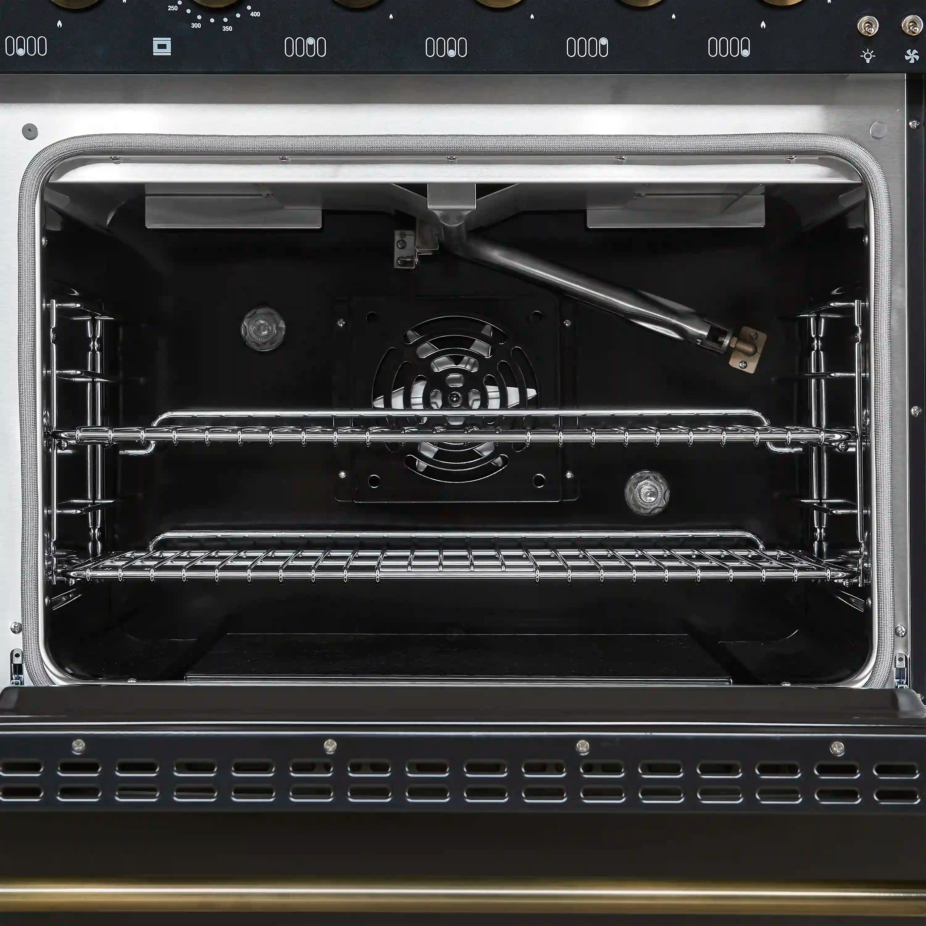 Gas oven interior with chrome racks and back fan housing.