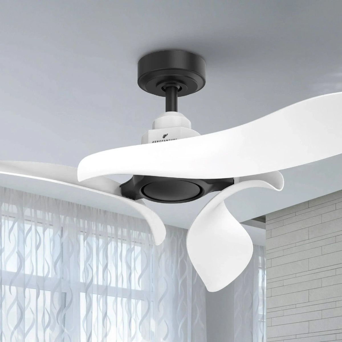 Parrot Uncle black DC ceiling fan with white three blades and round motor housing