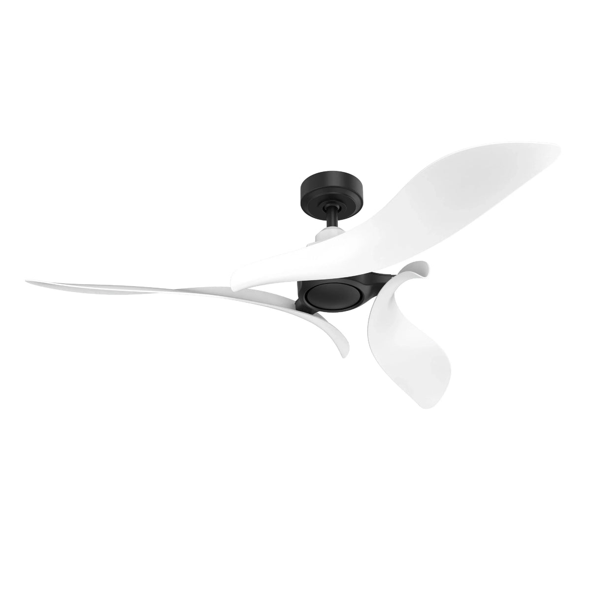 Ceiling fan with black motor center and four sweeping white blades, angled view
