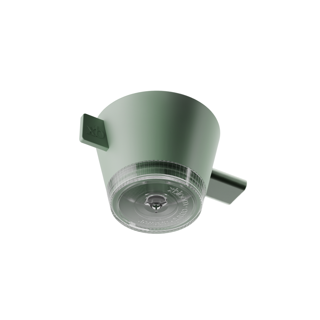 Sage green Omni tea brewer with clear base chamber and side spout