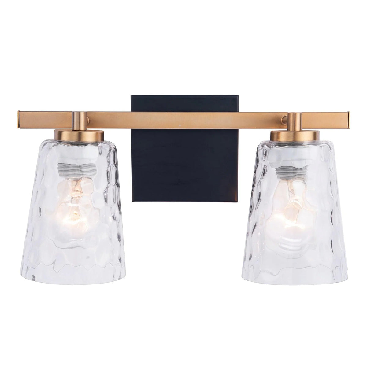 Modern 2-light vanity light with black panel, metallic arms, and textured clear glass shades