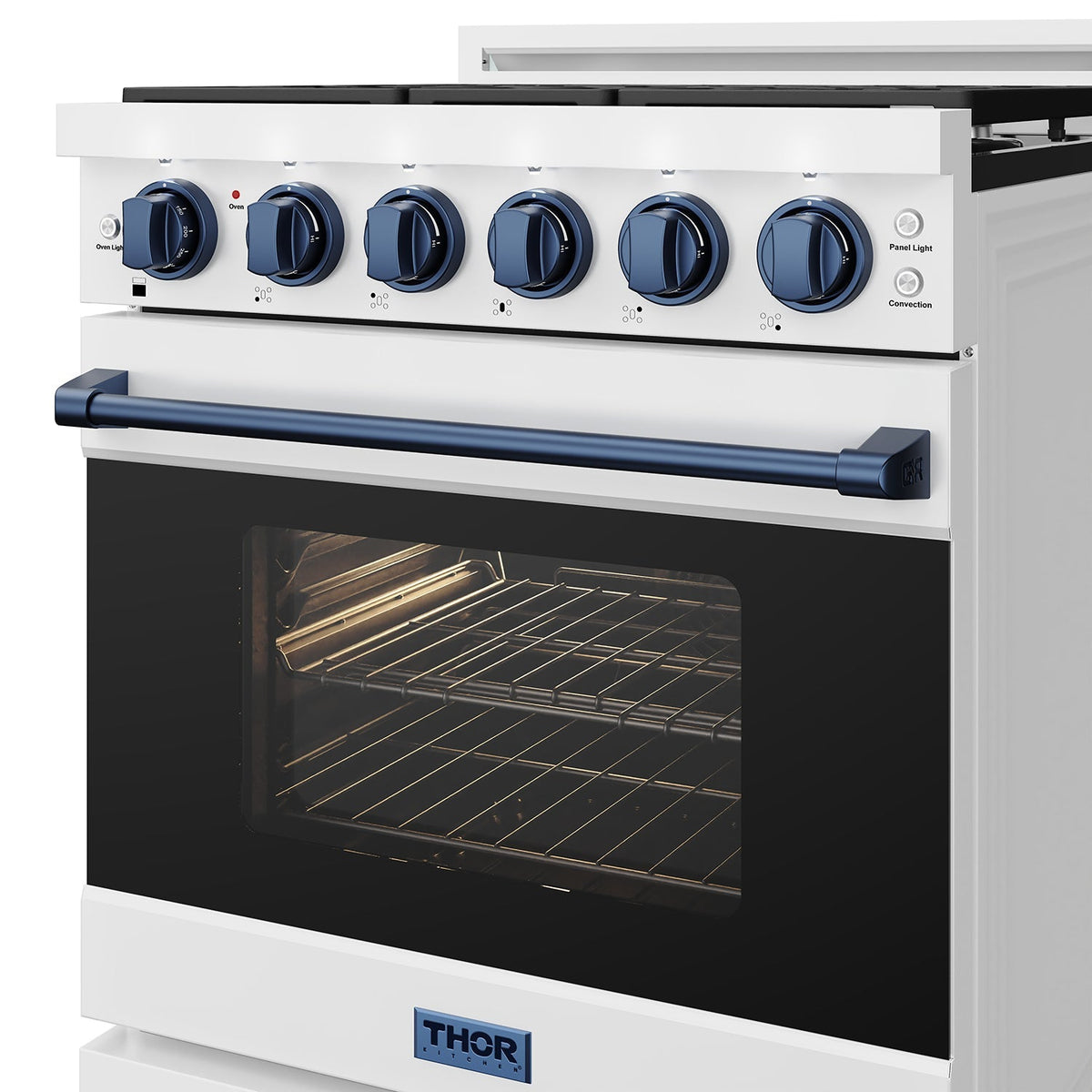 White 30-inch professional propane range with blue hardware, close-up of the oven door