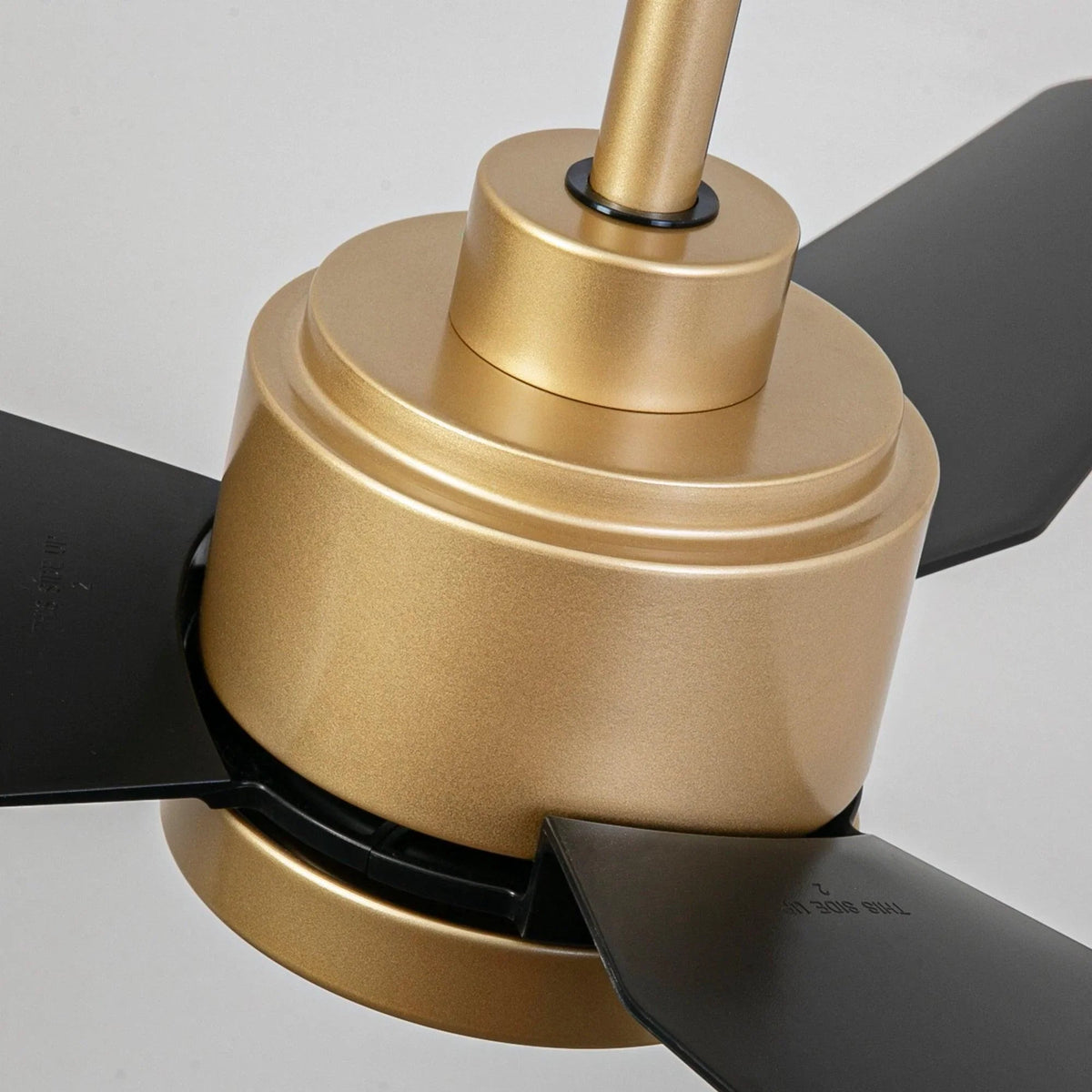 Golden ceiling fan light cover and black blades, close-up