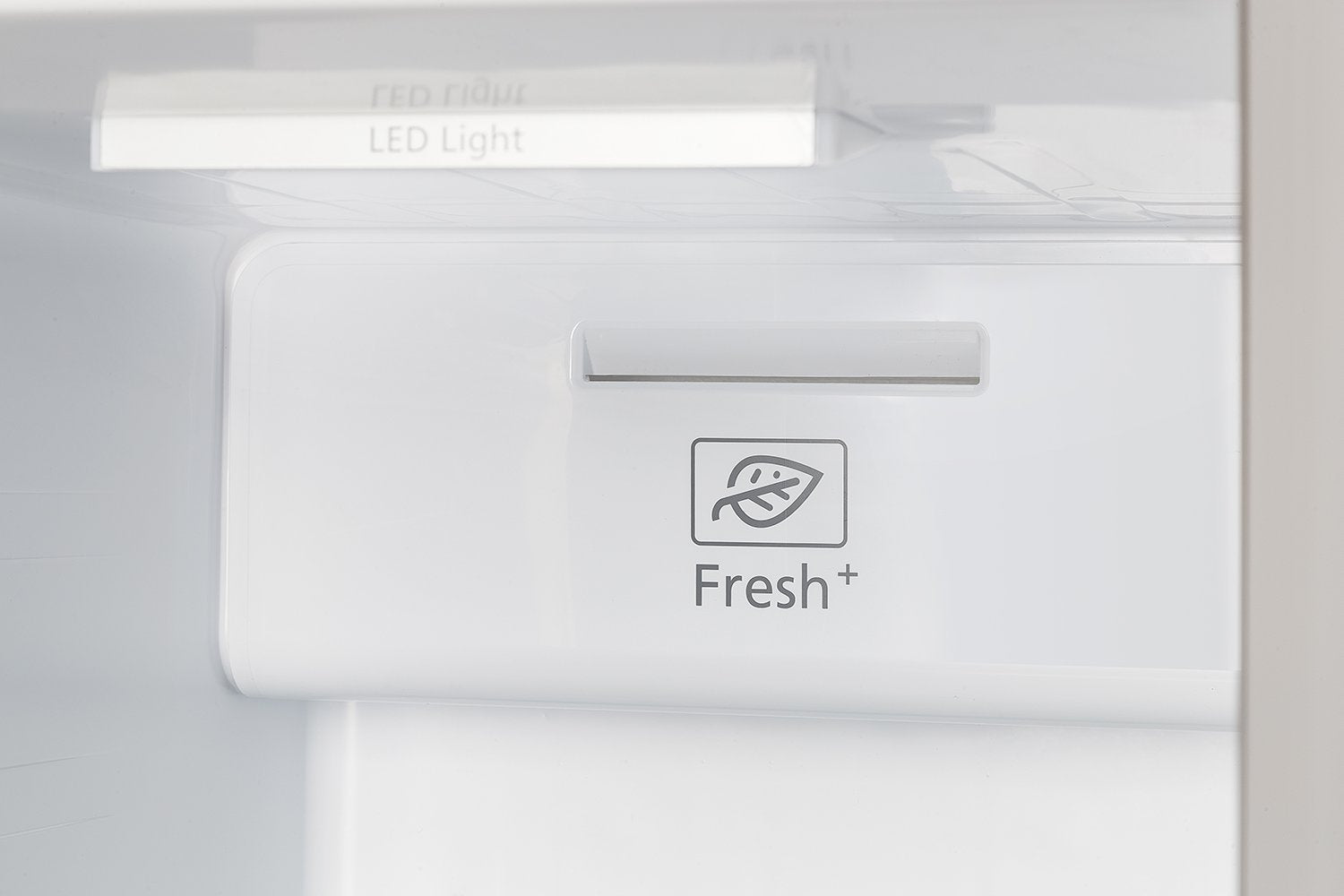 Freezer interior display area with “Fresh+” logo under LED light