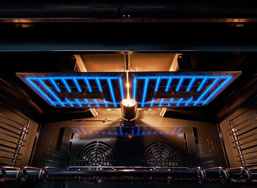 Gas range oven interior with blue heating elements and vented rear panel