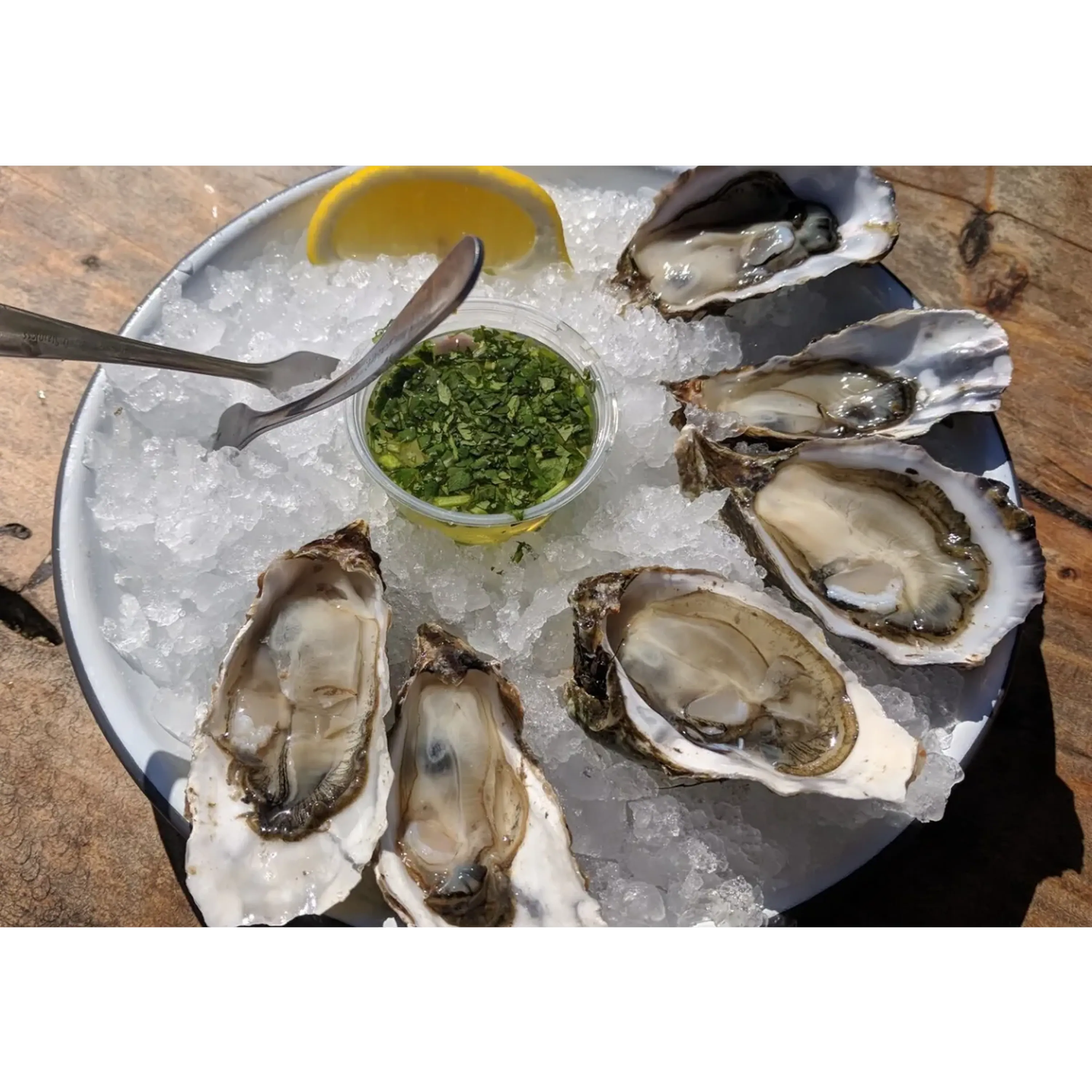Cubelet ice tray with oysters, lemon wedge, and parsley garnish