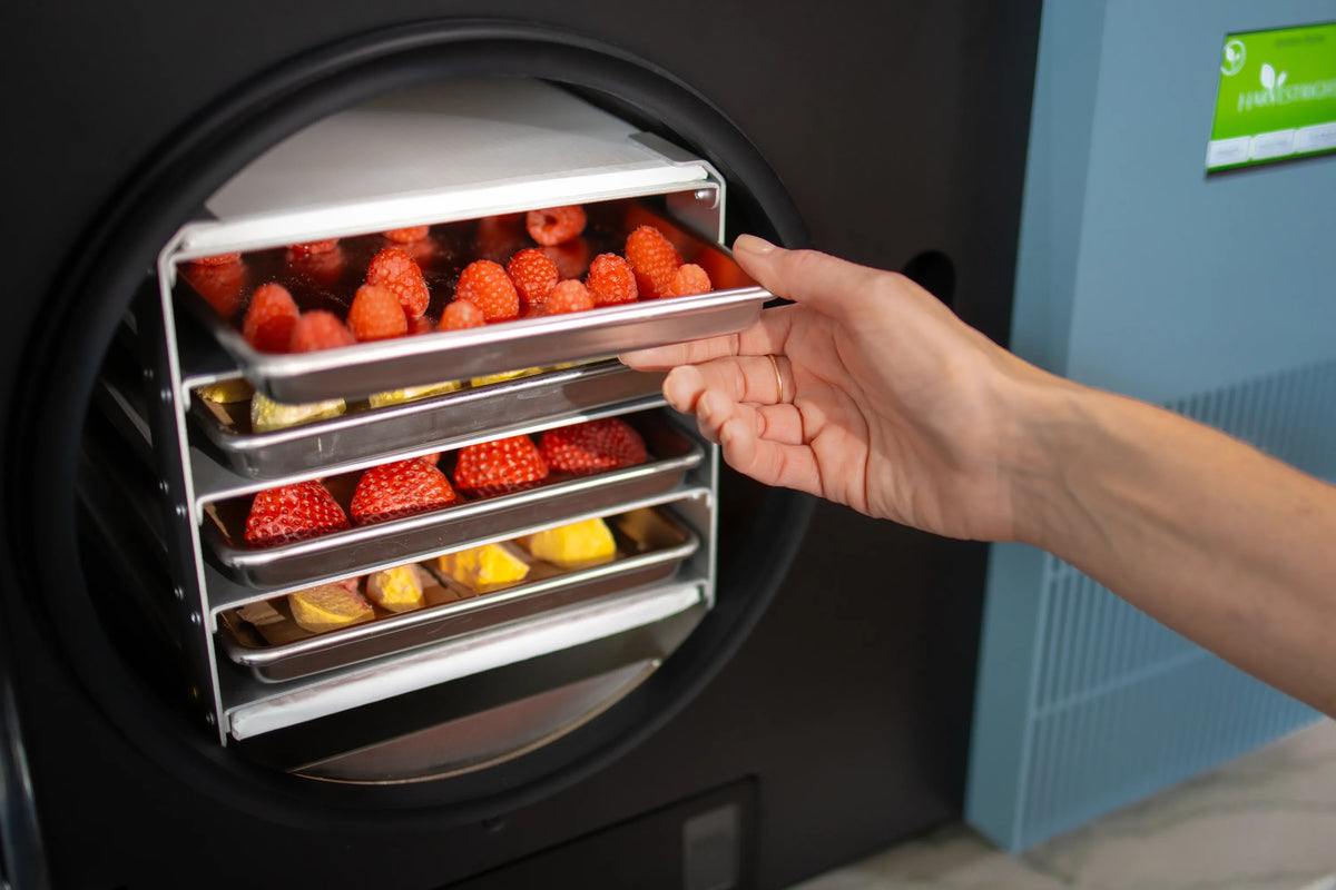Harvest Right Pale Blue Countertop 360 Freeze Dryer - Lifestyle 8