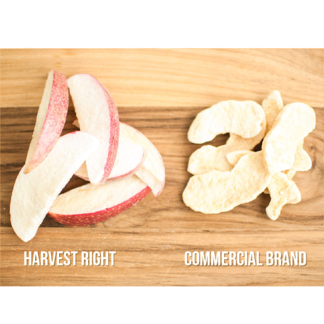 Freeze dryer food sample: dried apple slices and curled vegetable chips on a wooden board