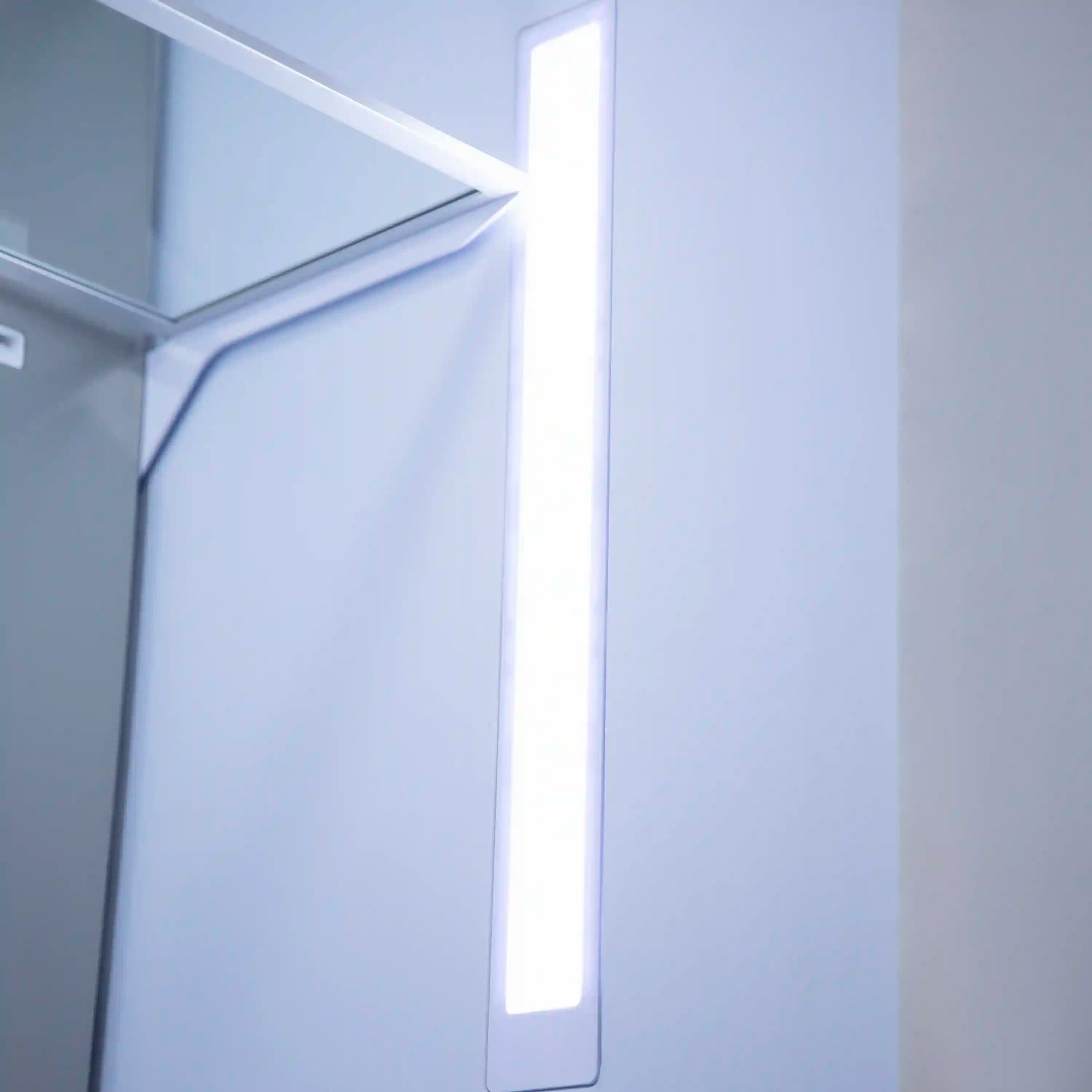 Bottom freezer refrigerator door with vertical interior light strip on