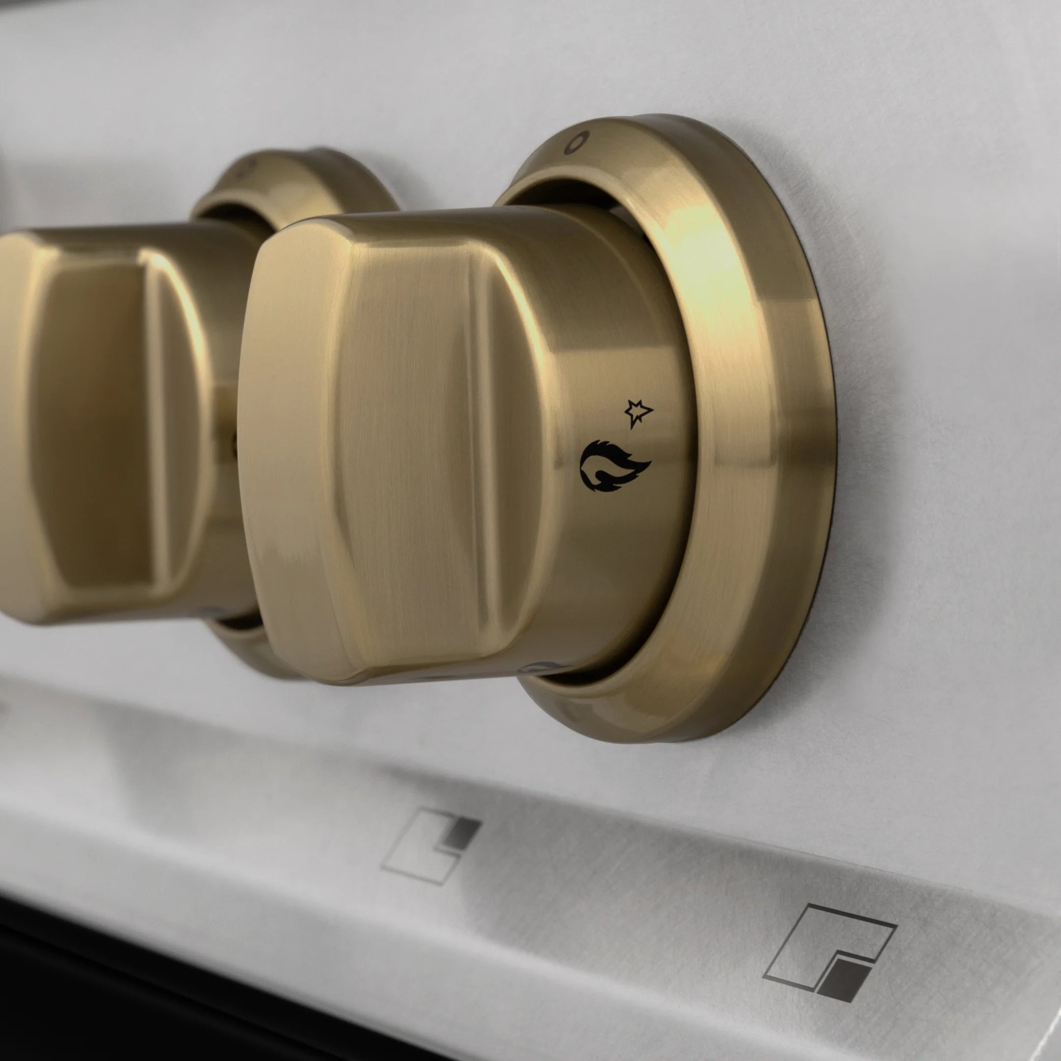 Dual fuel range silver knob with champagne bronze trim and small icon