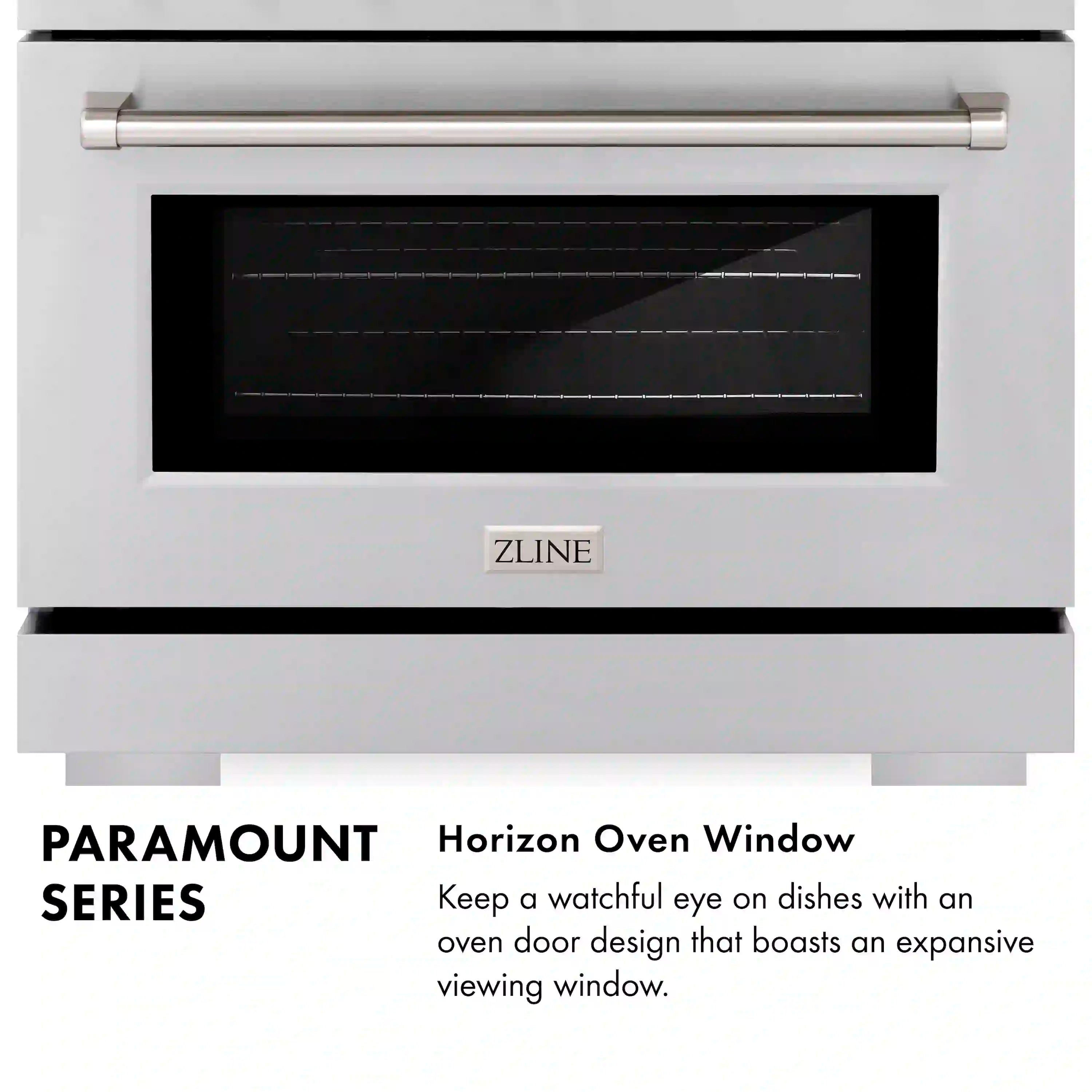 Stainless steel dual fuel range with horizon oven window and control panel
