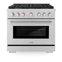 ZLINE 36-Inch 5.2 cu. ft. Paramount Gas Range with 6 Burner Cooktop and Convection Gas Oven in Stainless Steel (SGR36)