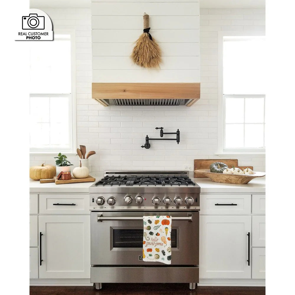 Stainless steel island range hood insert above cooktop in bright kitchen