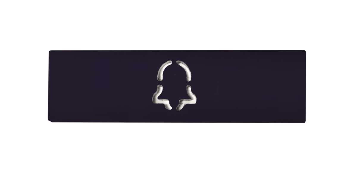 DoorBird engraved nameplate with call bell icon, dark rectangular plate