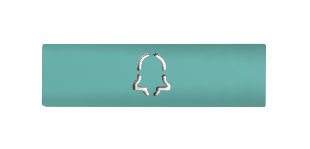 Light green engraved nameplate with call-button icon for DoorBird D21X