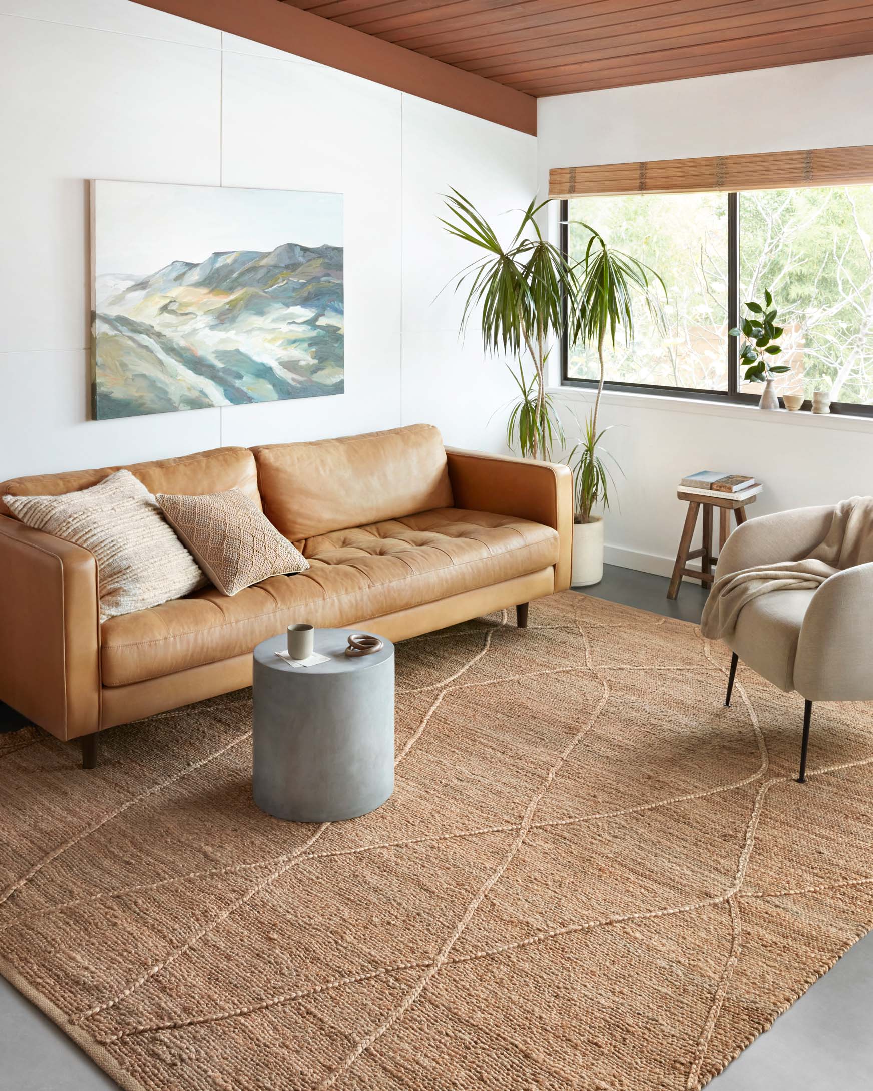 Natural tan rug with geometric crisscross lines, rectangular area rug