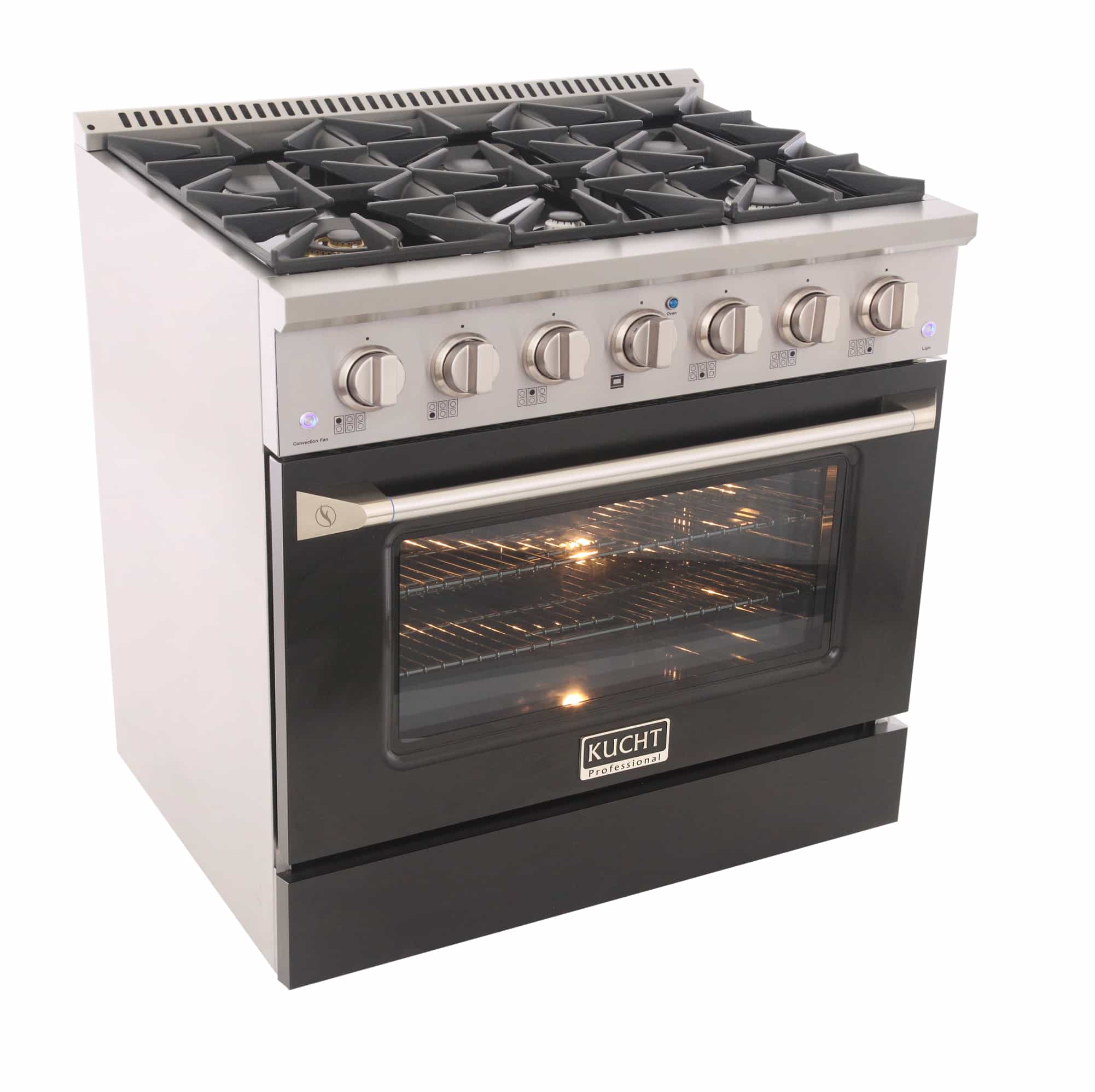 Stainless steel dual fuel range with lit oven and burner grates
