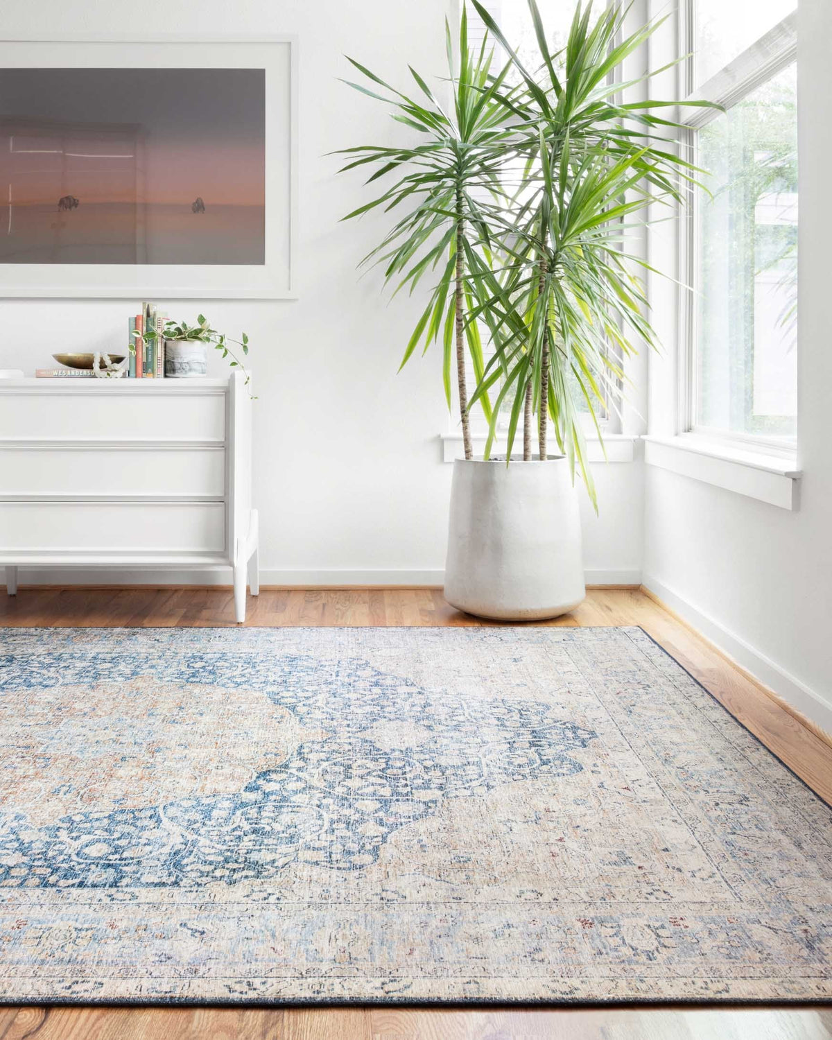 Blue and beige area rug with distressed medallion motif and detailed scrolling border.