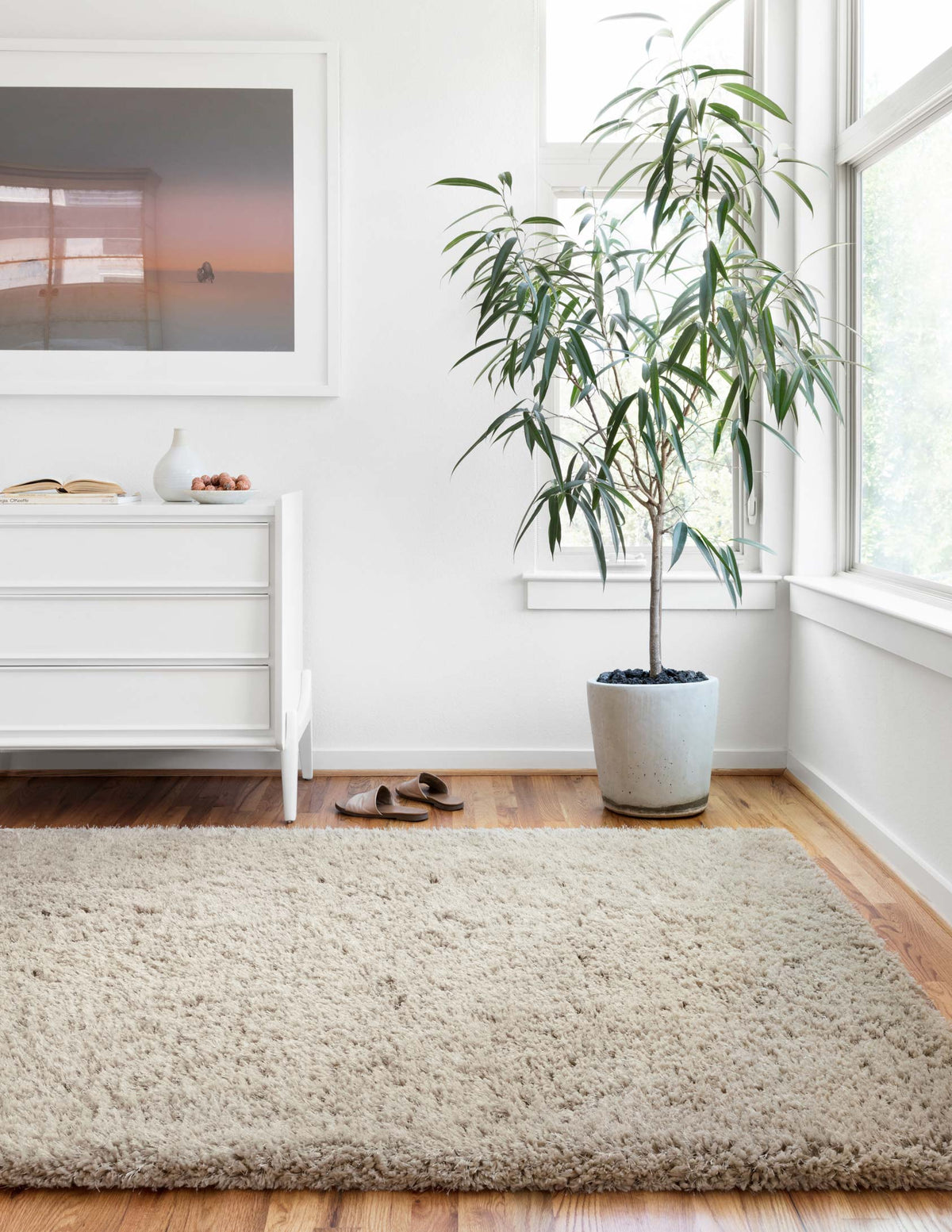 Grey shag rug, large rectangular shape with soft dense pile and bound edges.
