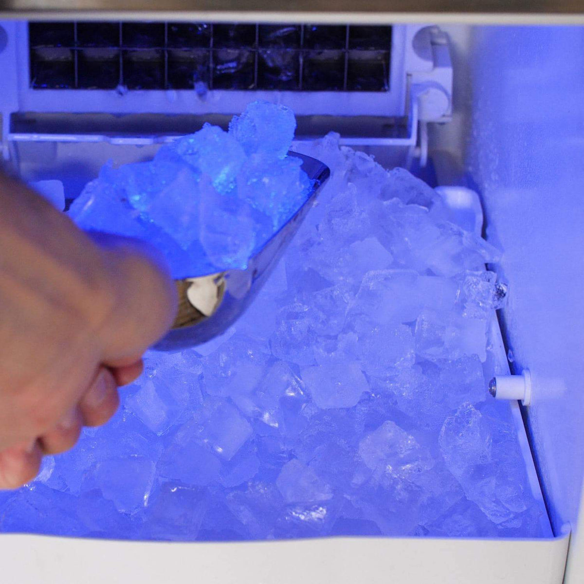 Ice maker bin filled with clear ice cubes being scooped