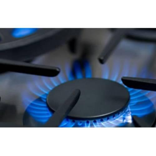 Stainless gas range burner with blue flame and cast-iron grate