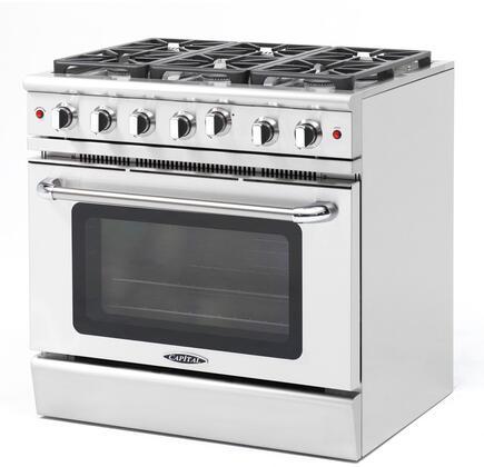 Stainless steel freestanding gas range with six burner cooktop and oven door window