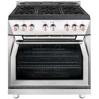 Forza 36" 6.0 cu. ft. Stainless Steel Pro-Style Gas Range (FR366GN) Ranges Forza